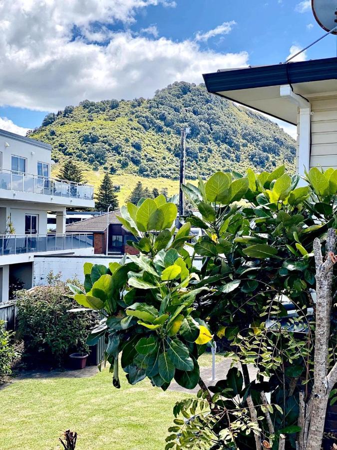 Sea Breeze 3 Bedroom Apartment Mount Maunganui Exteriér fotografie